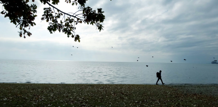 Lausanne–Rolle, Kanton Waadt