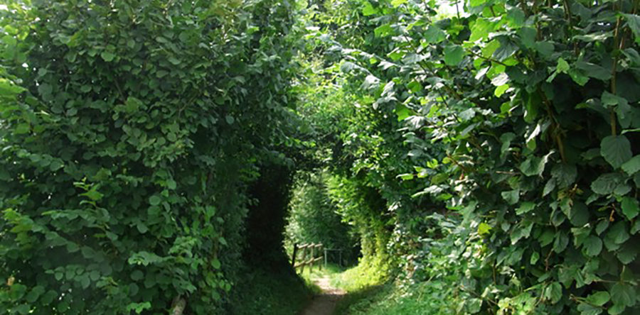 Sarnen, Kanton Obwalden