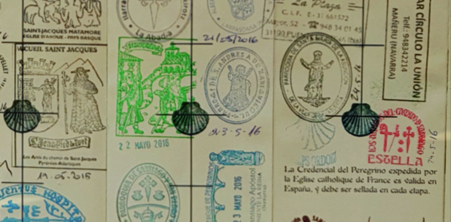 Slide – 4 DE